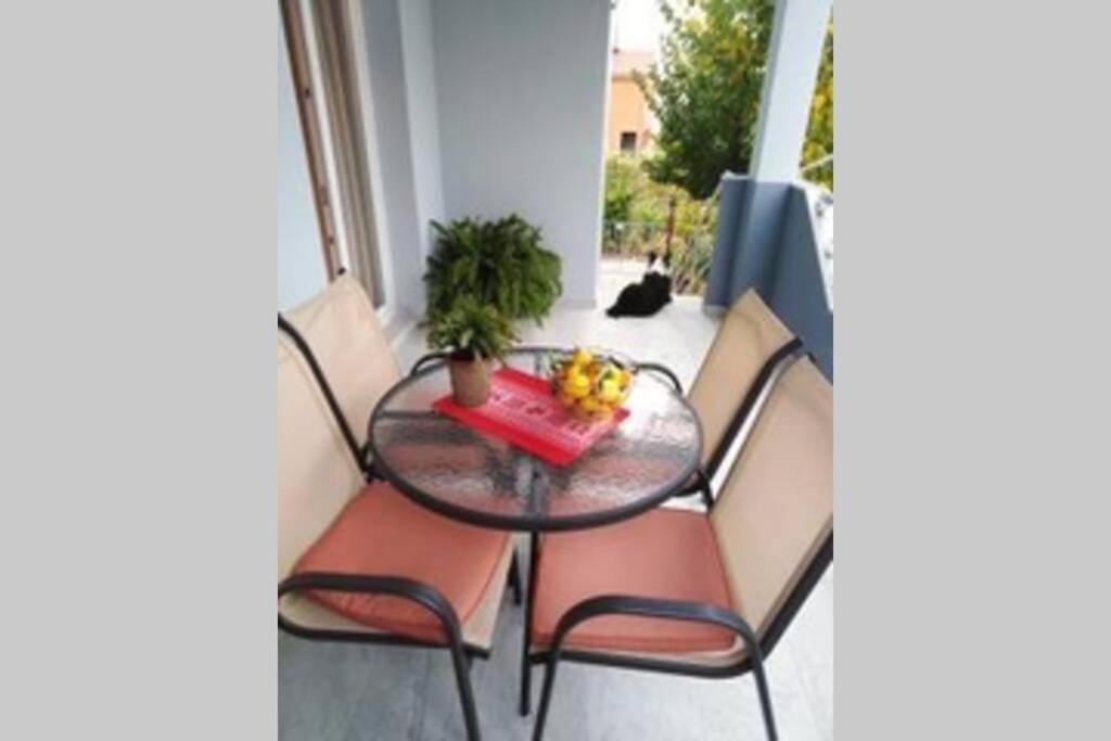 Family House Nino Apartamento *